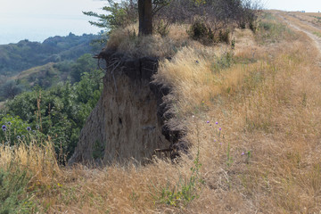 Mountain landslide disaster in sesmically dangerous area. Large cracks in earth, descent of large...