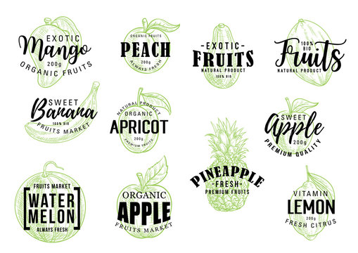 Exotic fruits market lettering sketch