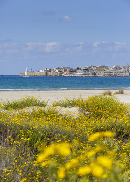 View of the sea and the old city walls, Acre (Akko), Israel.
