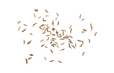Pile of cumin, caraway seeds isolated on white background, top view