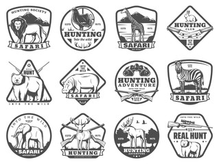 Wild and safari animals hunting icons