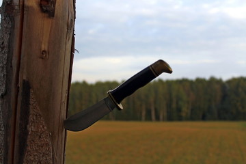 A large hunting knife on a background of autumnal nature.