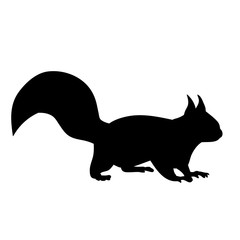 silhouette of squirrel, on white background, icon