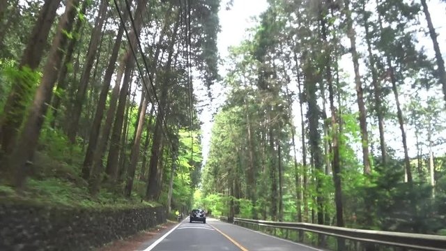 View from car