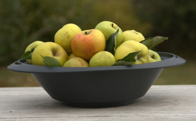 coupe de pommes d'automne,fruit de saison