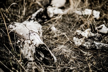 a small collection of captures taken while travling between the year of 2016 and 2018