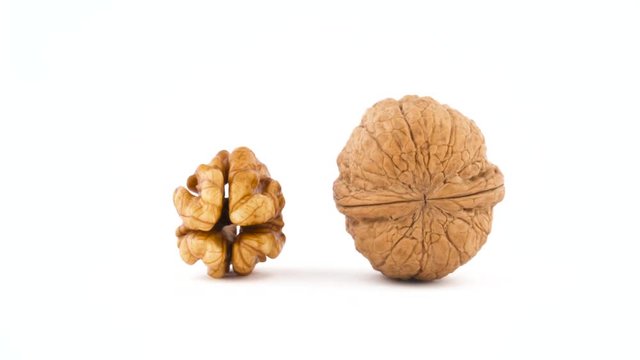 One raw walnut without the shell and one hazelnut in the shell. Rotating on the turntable isolated on the white background. Close up. Macro.