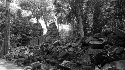 The so-called 'Tomb Raider Temple', Ta Prohm is cloaked in dappled shadow, its crumbling towers and walls locked in the slow muscular embrace of vast root systems.