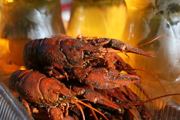 Beer and crayfish