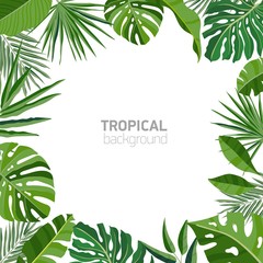 Fototapeta na wymiar Square backdrop or background with frame or border made of green luxuriant tropical foliage or exotic leaves of rainforest plants and place for text. Summer colorful realistic vector illustration.