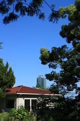 赤い屋根の家と高層マンション