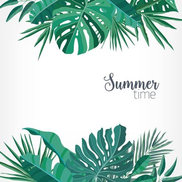Square backdrop or background with green palm and monstera leaves or foliage of rainforest plants at top and bottom edges and place for text. Hawaiian colorful realistic vector illustration.