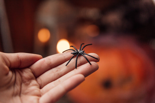 Pająk. Dłoń. Lęk. Zabawa.  Dynia. Jesień. Halloween.