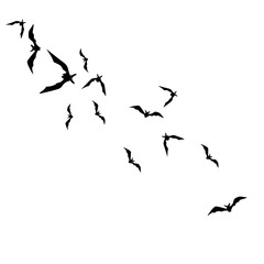 Halloween background with black bats on white. Halloween party card background template. black flying bats.