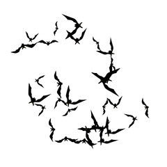 Halloween background with black bats on white. Halloween party card background template. black flying bats.