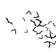 Halloween background with black bats on white. Halloween party card background template. black flying bats.