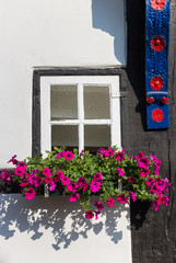 Fototapeta na wymiar Pink flowers at a window in Tecklenburg, Germany
