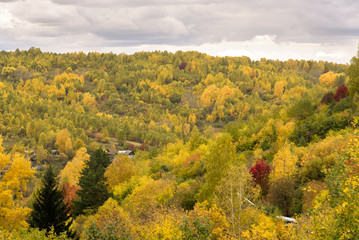 Autumn landscape, autumn forest.