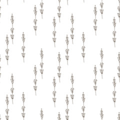 Seamless pattern of wild herbal flowers. Vector. Hand drawn artwork. Flower concept for wedding invitations, cards, tickets, congratulations, branding, boutique logo, label. Botanical style sketch