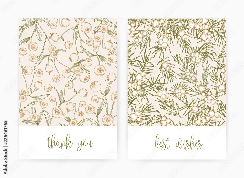 Poster set of postcard or greeting card templates with cranberries and juniper berries and leaves hand draw