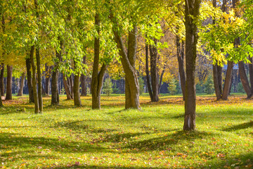 Autumn landscape. Autumn Park.