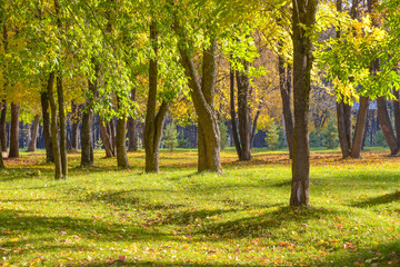 Naklejka premium Autumn landscape. Autumn Park.
