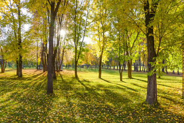 Fototapeta na wymiar Autumn landscape. Autumn Park.