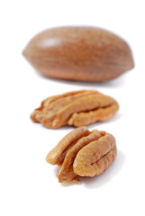 Pecan nuts isolated on white background.