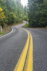 Winding road through a forest