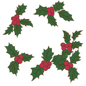 set of Christmas holly leaves.Branch Of Green Leaves and Red Berries.