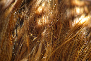 hair texture