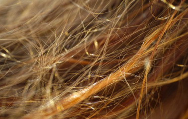 hair texture