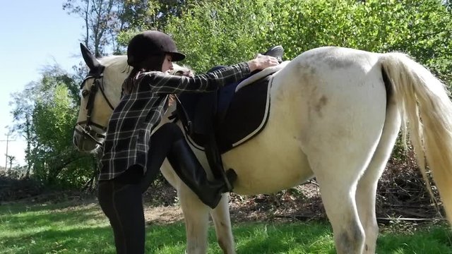 beautiful woman mounting a white horse