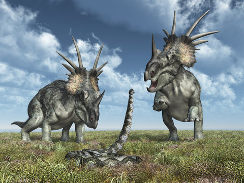 Dinosaurier Styracosaurus und Riesenschlange Titanoboa
