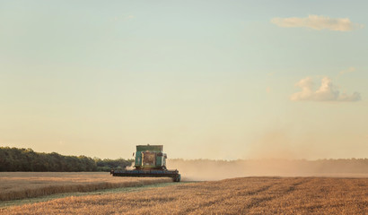 Fototapeta premium Harvesting combine in the field