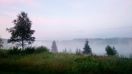 Obraz na płótnie Canvas Misty evening in Bohemian Forest. Czech Republic.