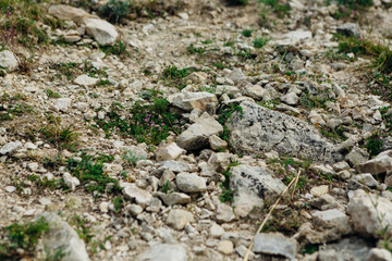 dark detailed gray stone background close up