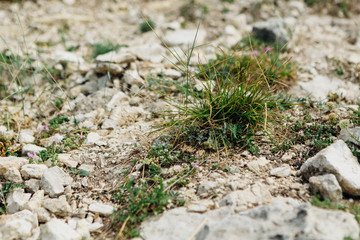 dark detailed gray stone background close up