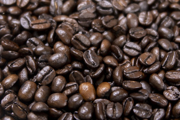 コーヒー豆