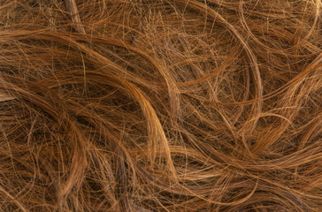 Brown long hair texture background