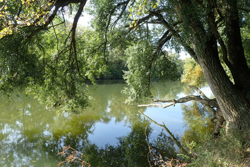 Neckarpartie bei Oberesslingen