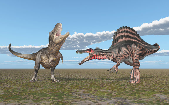 Tyrannosaurus Rex und Spinosaurus 