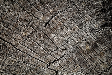 Fototapeta premium Holz, Wood, Maserung, Textur, Material 