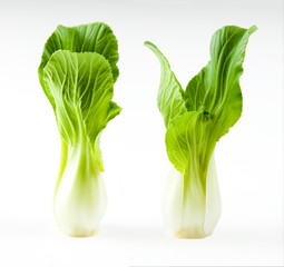 vegetable, Bok choy vegetable on white background, chinese cabbage