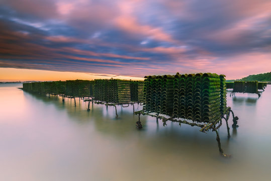 Parc &agrave; huitres au coucher du soleil