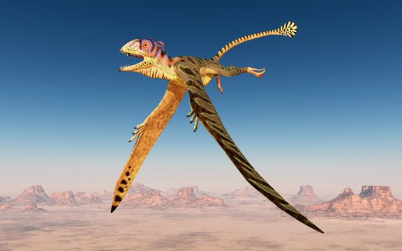 Flugsaurier Peteinosaurus über einer Wüste