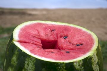 Lake landscape with juicy ripe notched watermelon standing on a rotten stump