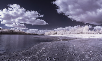 infrared photography - ir photo of landscape with tree under sky with clouds - the art of our world and plants in the infrared camera spectrum