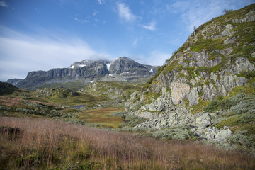 Views form the Haukeli Pass.