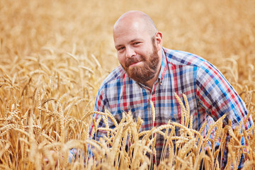 Naklejka na ściany i meble Farmer walking through a wheat field